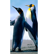 test by output seller 2