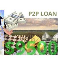 Business/Personal P2P Loan $9500 Diaspora Investment