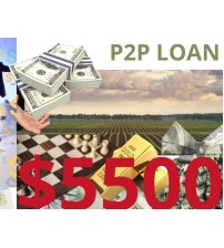 Business/Personal P2P Loan $5500 Diaspora Investment