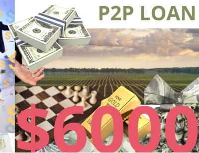 Business/Personal P2P Loan $6000 Diaspora Investment