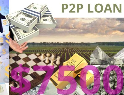 Business/Personal P2P Loan $7500 Diaspora Investment