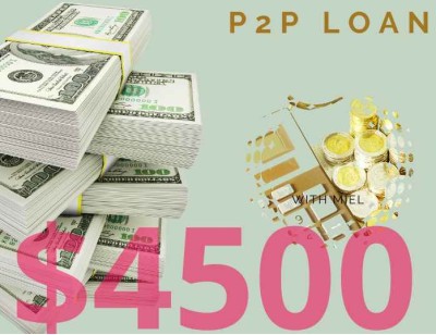 Business/Personal P2P Loan $4500 Diaspora Investment