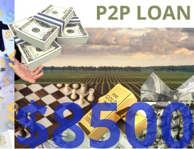 Business/Personal P2P Loan $8500 Diaspora Investment